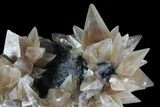 Calcite Crystal Cluster - Mexico #72017-2